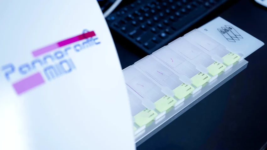 Slide tray being prepared for analysis in a Panoramic MIDI digital scanner, used for in vitro biology and in vivo pharmacology research.