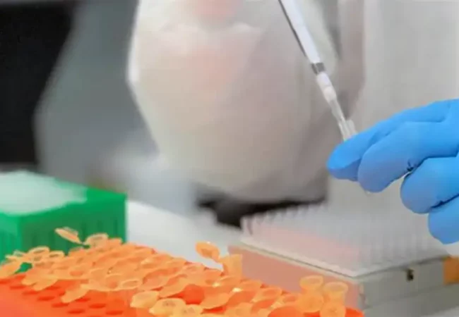 A scientist wearing blue gloves uses a pipette to transfer liquid into small orange microcentrifuge tubes for clinical pharmacokinetics and absolute bioavailability studies.