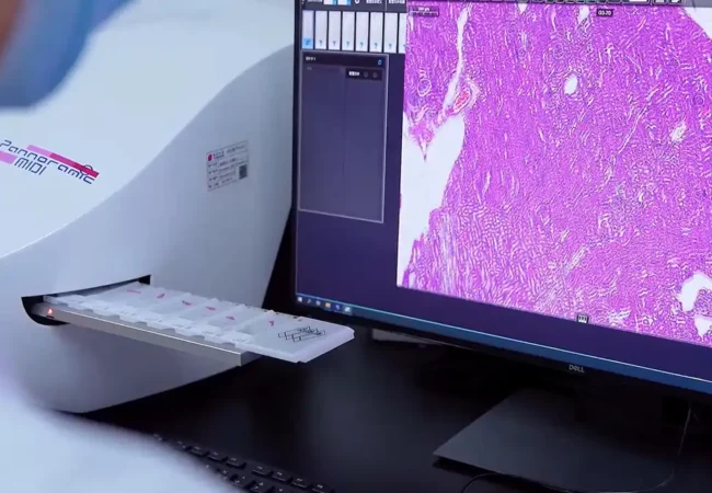 Digital pathology scanner analyzing tissue slides, with detailed histological imaging of dermal animal models displayed on a monitor.