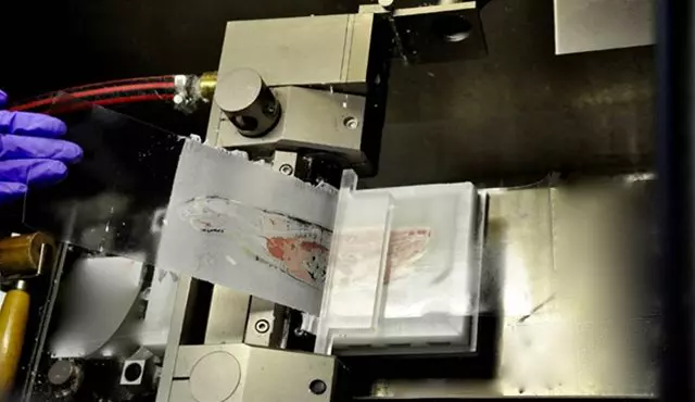A gloved hand holds a film with tissue samples under a machine, used for analyzing the disposition of radiolabeled biologics.
