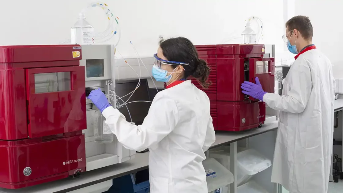 Two scientists operate red ÄKTA avant systems in a clean lab environment during plasmid DNA manufacturing procedures.