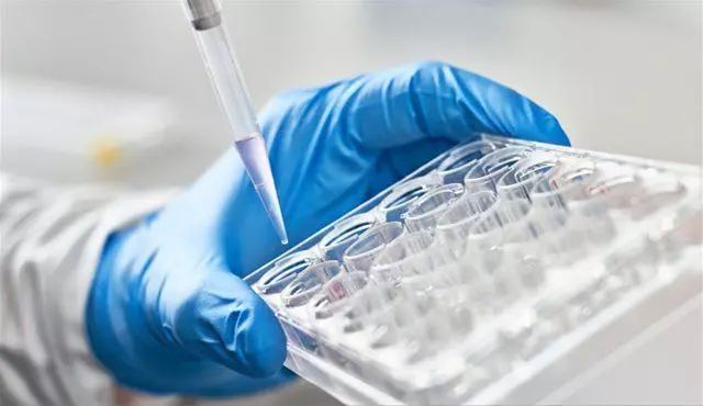 A gloved hand holding a clear plastic tray with multiple wells, while using a pipette to transfer a small amount of liquid into one of the wells. The background is blurred, emphasizing the precision required in genetic toxicology procedures.