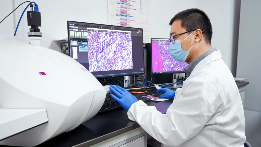 Scientist in a lab, analyzing tissue samples on dual monitors using advanced imaging technology, representing in vivo pharmacology research.