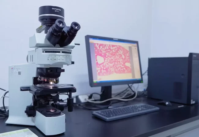 A microscope is connected to a computer displaying tissue samples, used for analyzing animal disease models in a research laboratory.