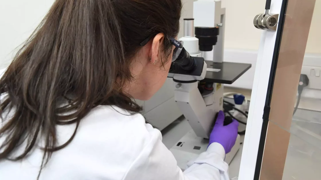 A scientist examines a sample through a microscope while conducting non-clinical ADME analysis using radiolabelled compounds.