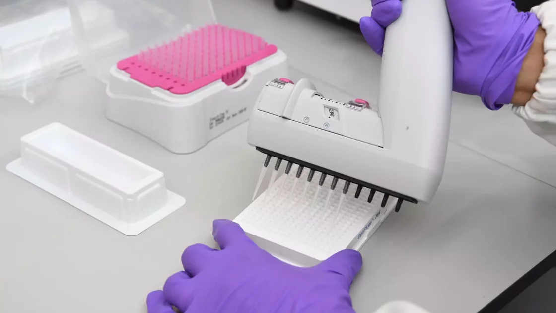 A scientist wearing purple gloves uses a multichannel pipette to transfer liquid into a 96-well plate, preparing samples for testing drug-drug interactions. A nearby container holds pipette tips, emphasizing precision in sample handling.