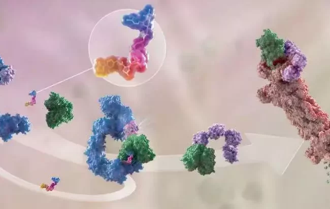 A visual representation of the protein degradation process, showing molecular interactions that guide a target protein toward degradation by proteolysis.
