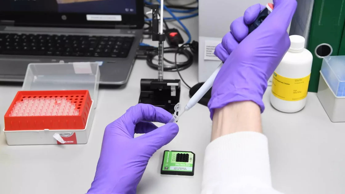 A scientist wearing purple gloves uses a pipette to handle a sample tube during radiolabelled biologics disposition analysis.