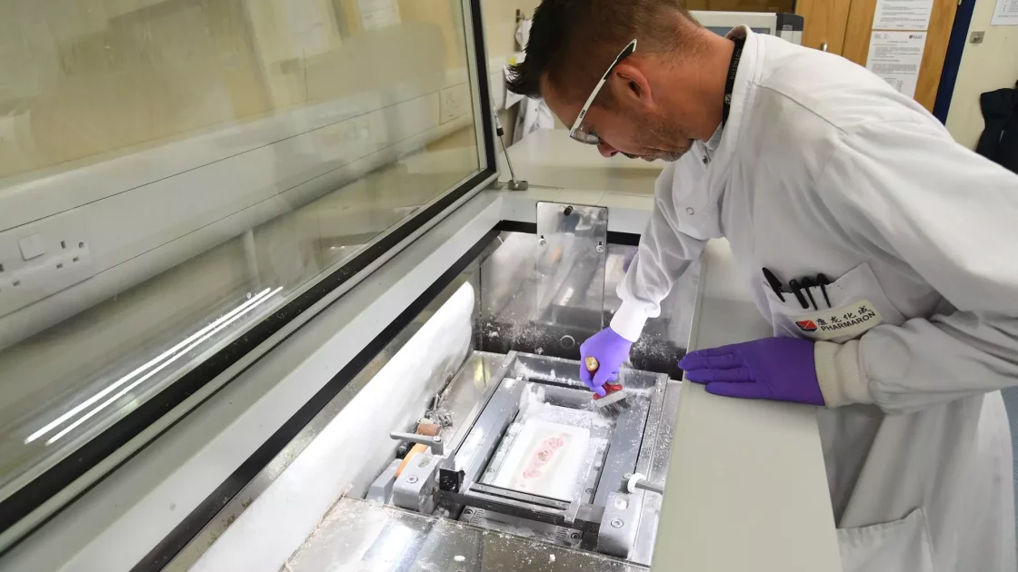 A scientist works in a laboratory, preparing a sample for tissue distribution analysis using Quantitative Whole-Body Autoradiography (QWBA) and microautoradiography (mARG).