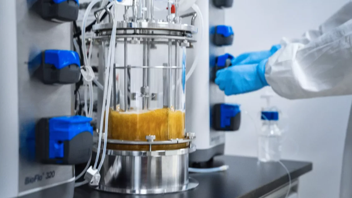 A scientist adjusts settings on a BioFlo 320 bioreactor, monitoring viral vector process development with a suspension culture inside the vessel.