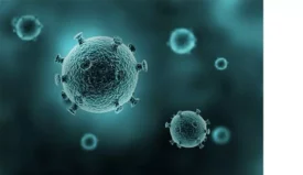 Microscopic view of spherical viral particles with spike-like protrusions, resembling coronavirus, suspended in a teal-hued background. Keywords: virus, cell and gene therapy, biotechnology, pathogens