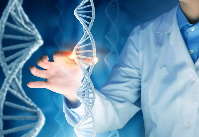 A scientist in a lab coat interacts with a digital representation of a DNA strand, symbolizing genetic research or manipulation. The glowing DNA helix reflects advancements in gene editing, sequencing, or therapeutic development, highlighting the intersection of science and innovation in genetics.