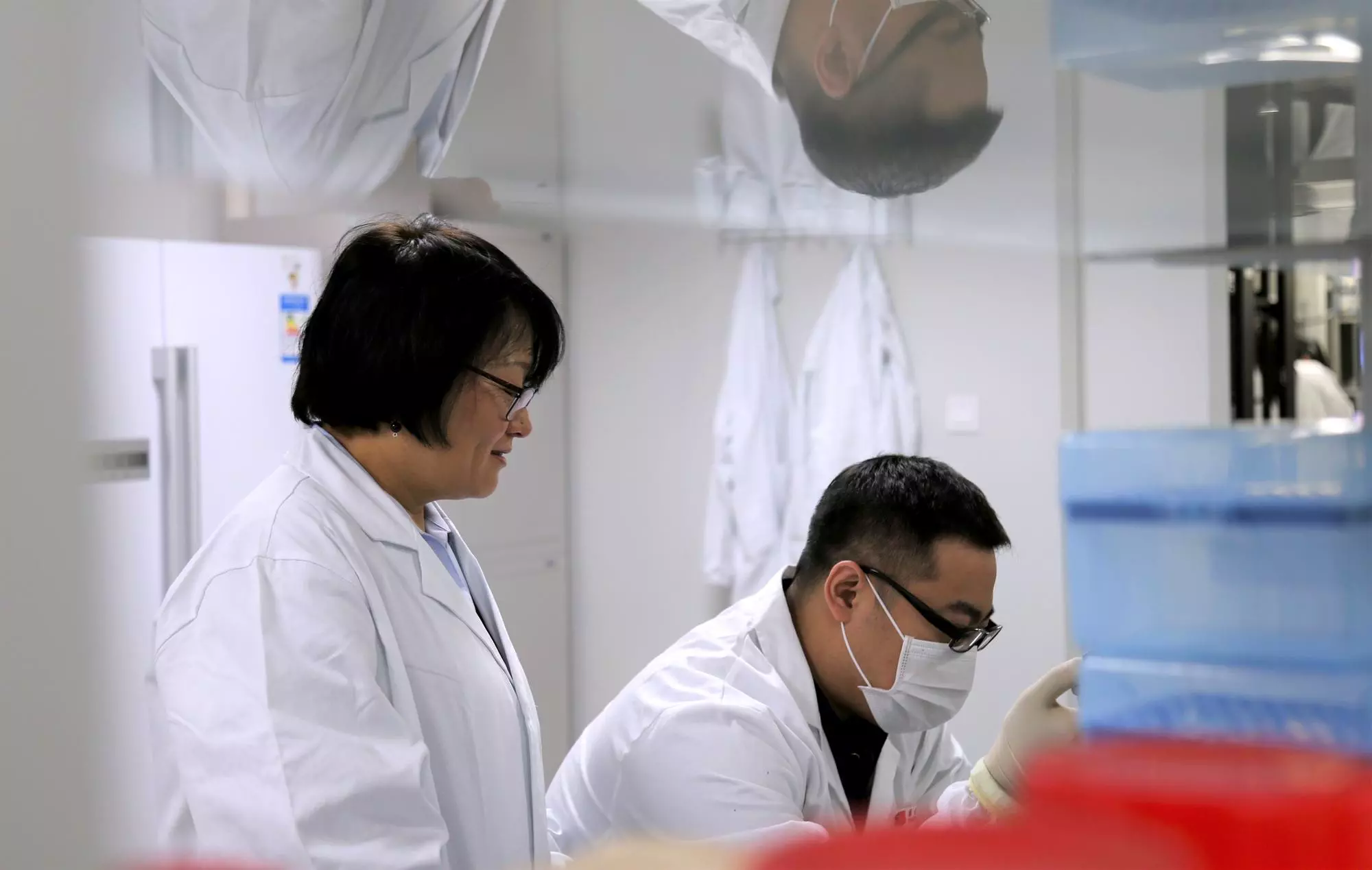 Two scientists in a laboratory, engaged in in vitro biology work. The standing scientist observes while the seated one handles samples with precision. Both wear lab coats, with sterile equipment and lab tools visible in the background.