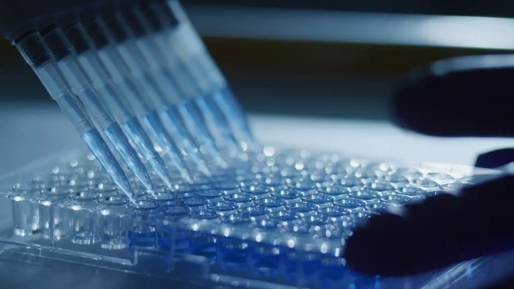 A multichannel pipette dispensing blue liquid into a clear 96-well plate for an in vitro metabolism study at the Rushden laboratory.