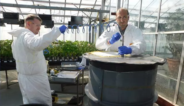 Two scientists in protective suits work on a large tank in a greenhouse, surrounded by plants, conducting plant and livestock metabolism studies.