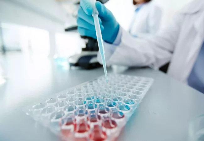 A scientist uses a pipette to add liquid to a 96-well plate, with wells filled with different colored solutions for high-throughput experiments.