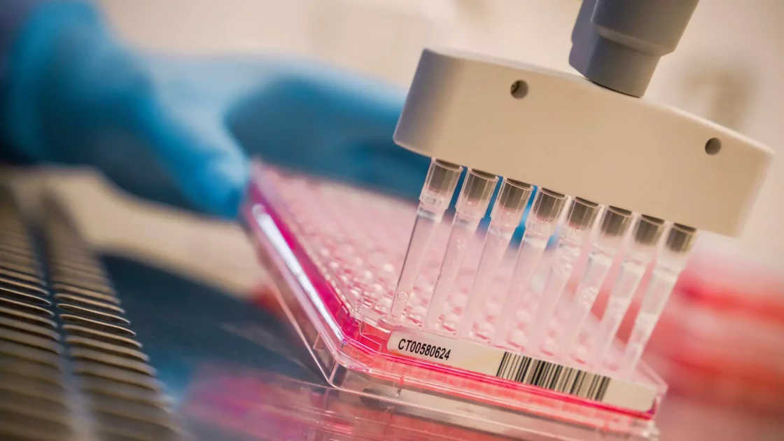 A gloved hand holding a laboratory pipette with multiple channels dispenses pink liquid into the wells of a microplate. The environment appears to be a lab setting, evident from the scientific equipment and precise handling, indicative of bioanalytical development in preclinical ADME studies.