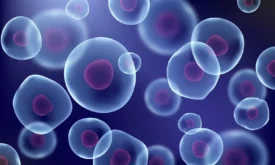An illustration showing semi-transparent cells with visible nuclei floating in a dark blue background. The cells, varying in size, display pinkish-red nuclei at their centers, evoking depth and complexity akin to genetic toxicology studies.