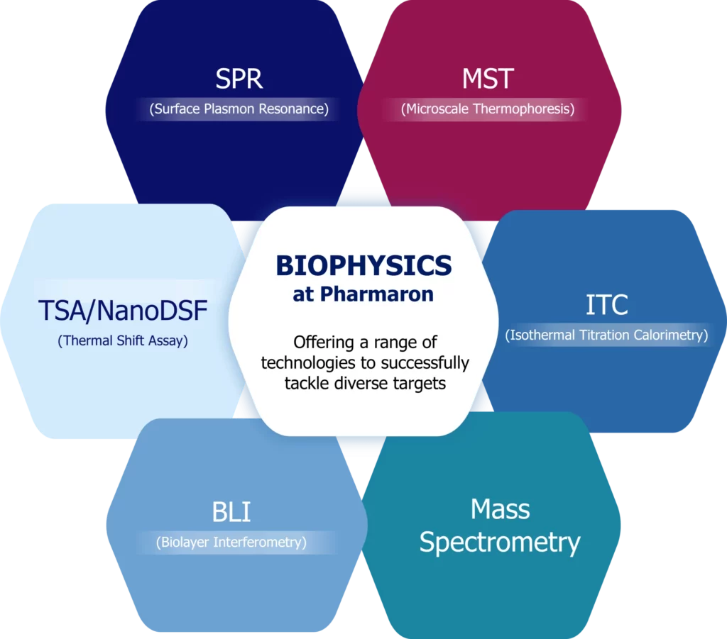 Binding assays make up the majority of biophysical assays.