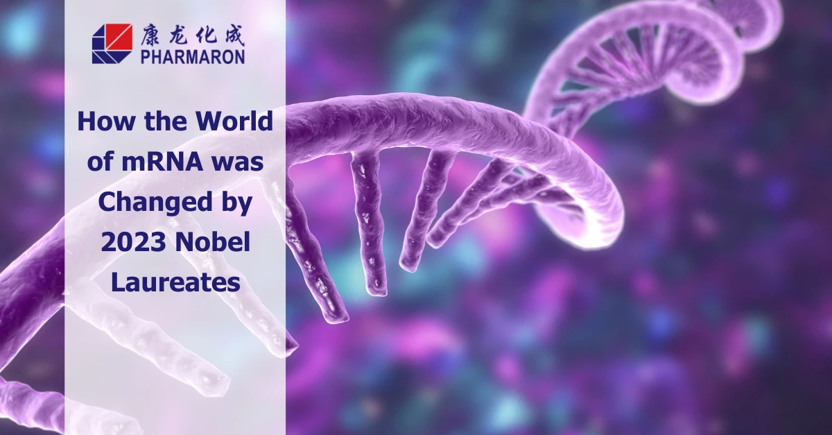 An image with a close-up of a DNA double helix in purple and pink hues in the background. A text overlay on the left side reads: "How the World of mRNA was Changed by 2023 Nobel Laureates." The Pharmaron logo is displayed above the text, highlighting advances in genetic toxicology.