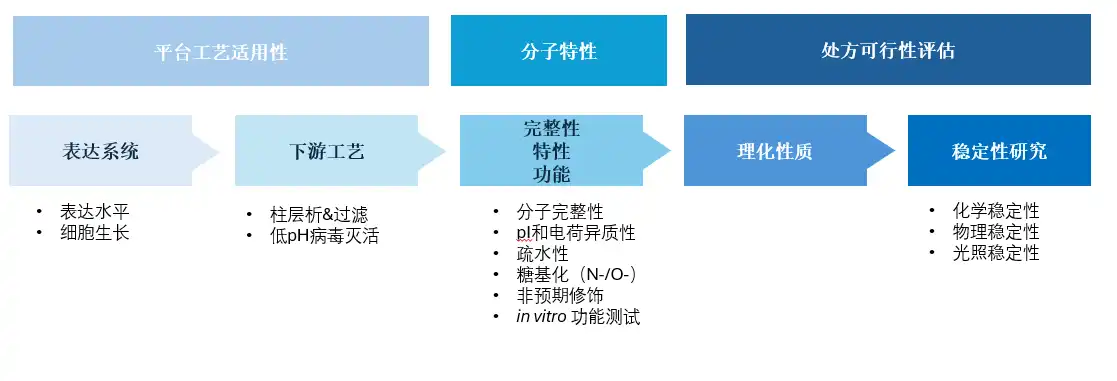 Diagram outlining the developability assessment process, covering platform process fit, molecule profiling, and formulable assessment, including stability studies and physicochemical properties.