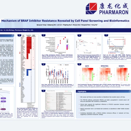 Pharmaron poster on BRAF inhibitor resistance, showcasing cell panel screening data, bioinformatics analysis, and drug response profiling across multiple cell lines.