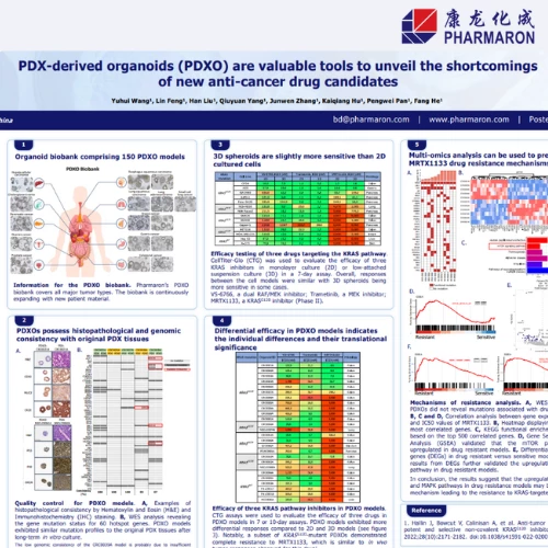 PDX-derived organoids (PDXO) poster highlights Pharmaron's research on cancer drug efficacy, featuring data on drug response comparisons, 3D spheroid sensitivity, and genetic profiling.