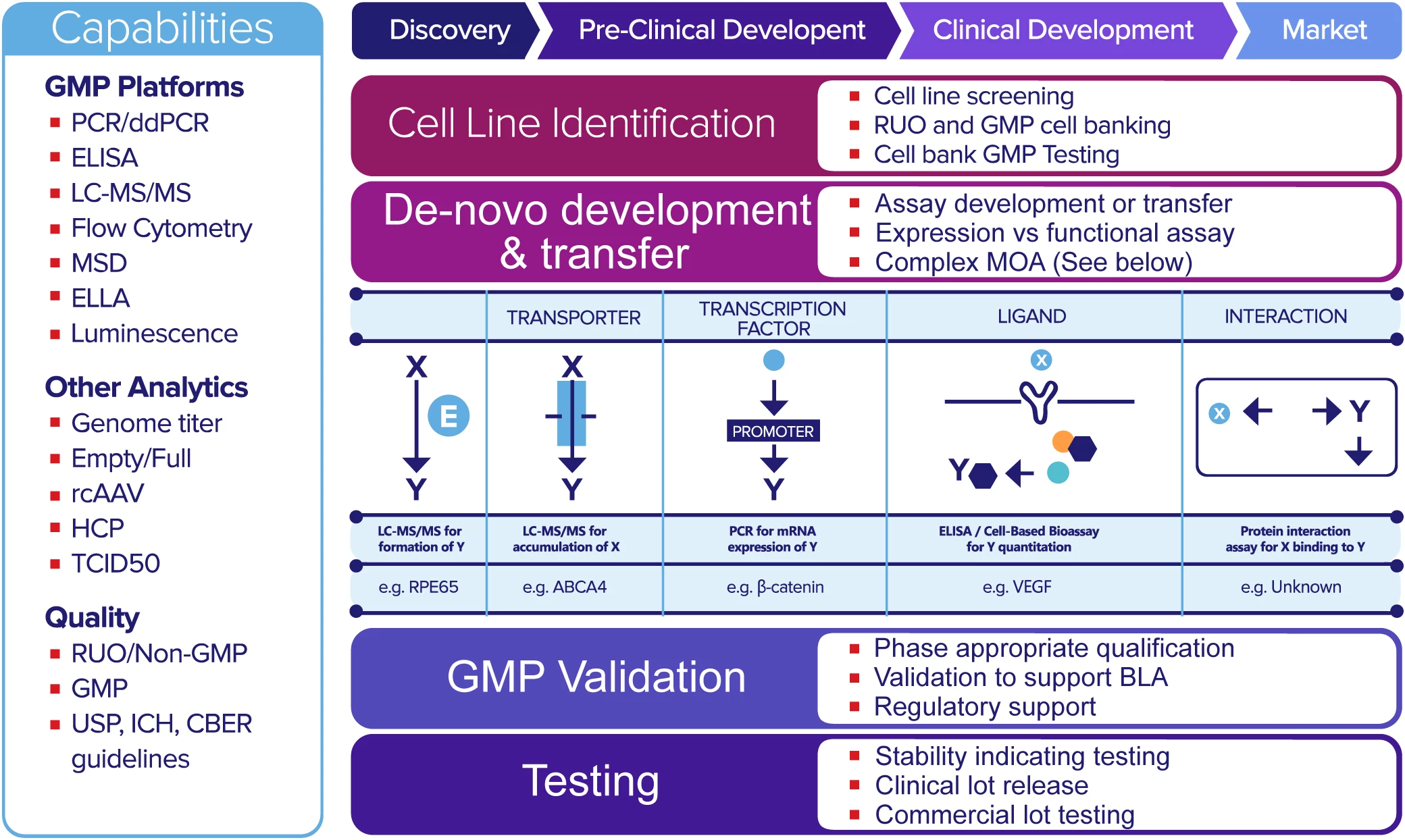 Diagram explaining potency assay process, from discovery to clinical development, detailing GMP platforms, cell line identification, de-novo assay development, validation, and testing stages.