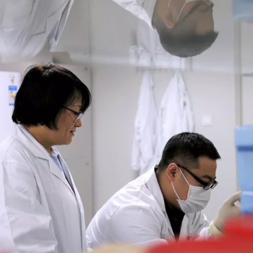 Two scientists in lab coats and masks work together in a laboratory, with one observing as the other handles samples carefully.