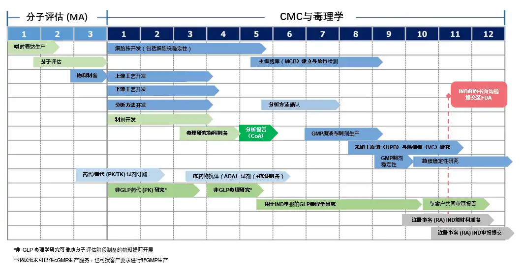IND enabling workflow timeline showing various stages like cell line development, analytical method qualification, GMP production, and regulatory submission.