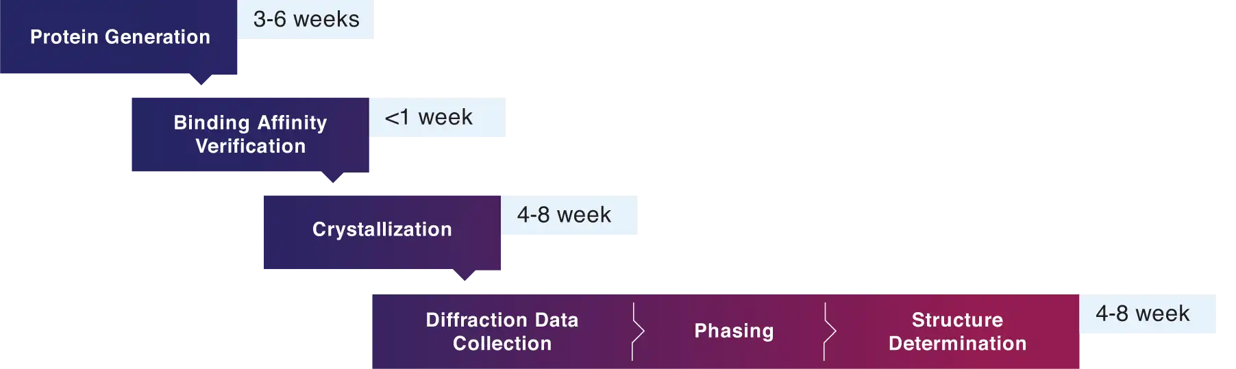 Structural biology timeline with sequential steps: protein generation (3-6 weeks), binding affinity verification (<1 week), crystallization (4-8 weeks), diffraction data collection, phasing, and structure determination (4-8 weeks).
