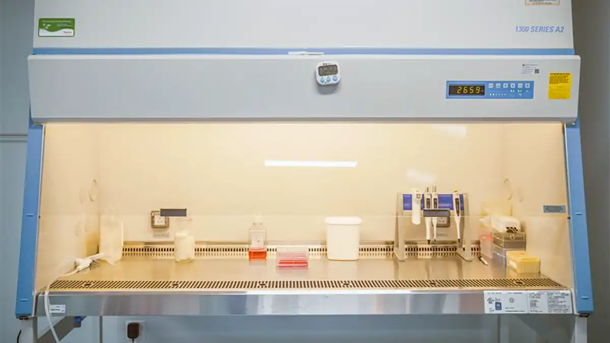 Biosafety cabinet setup for preclinical safety studies with pipettes, reagent bottles, and sterile containers under bright lighting.
